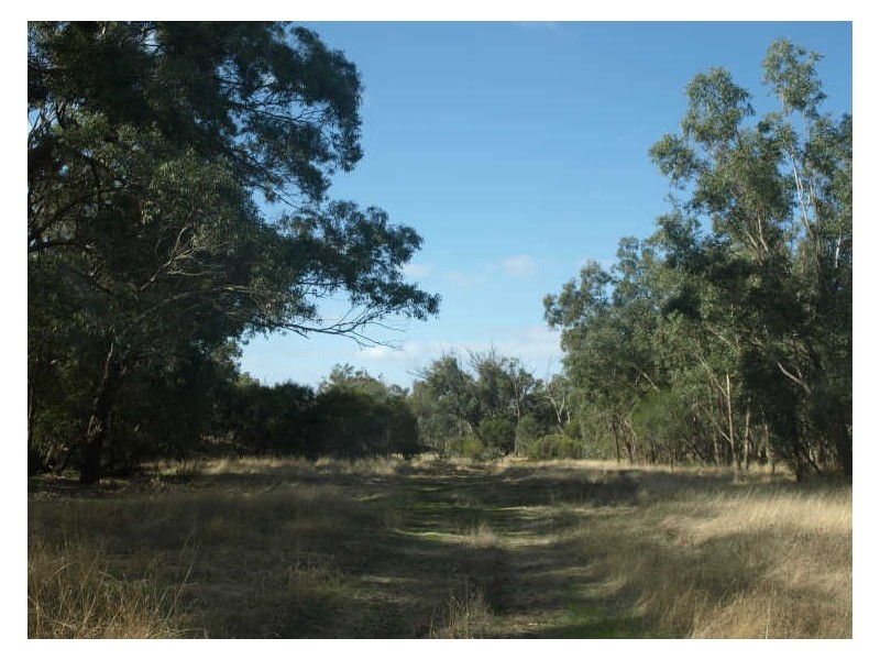 108 Spencers Brook Road, Clackline WA 6564