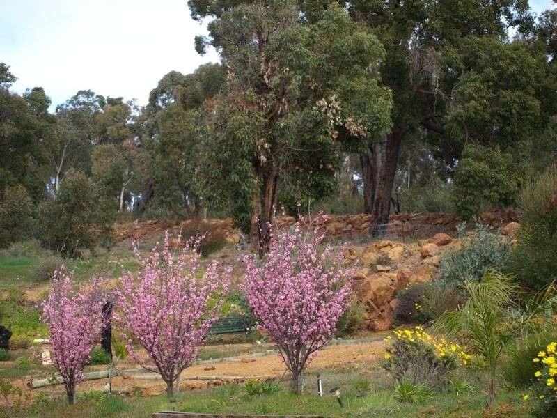 261 Almond Avenue, Bakers Hill WA 6562