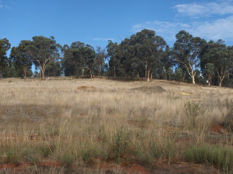 65 Werribee Road, Wundowie WA 6560