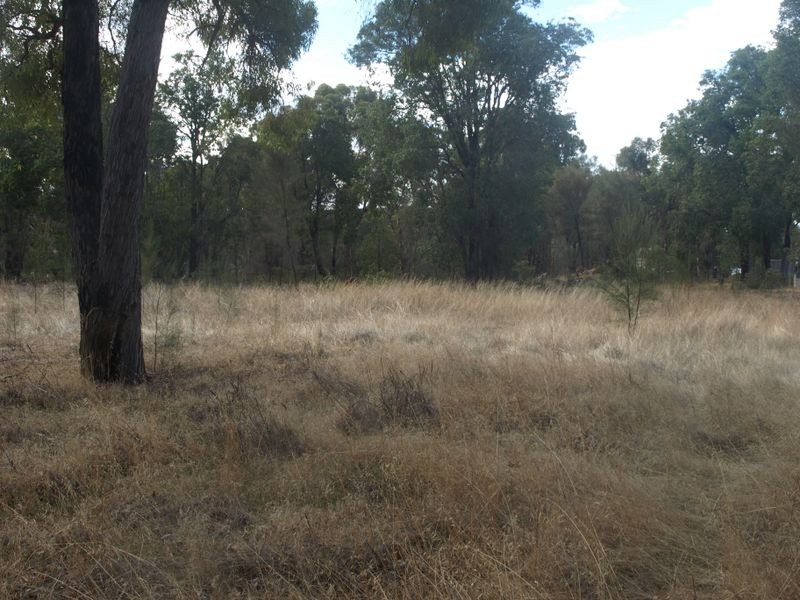 65 Werribee Road, Wundowie WA 6560