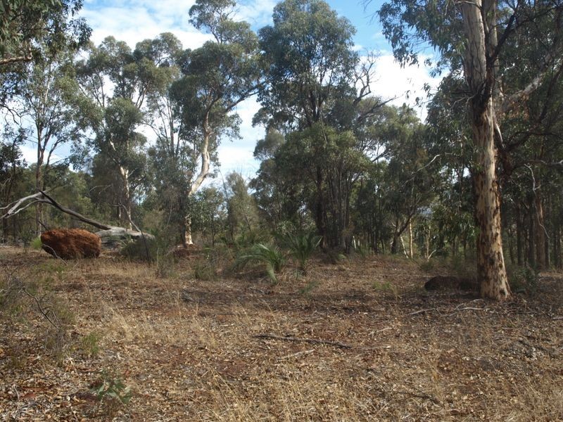 65 Werribee Road, Wundowie WA 6560