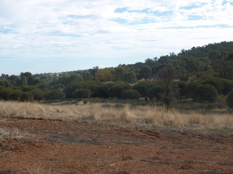 65 Werribee Road, Wundowie WA 6560