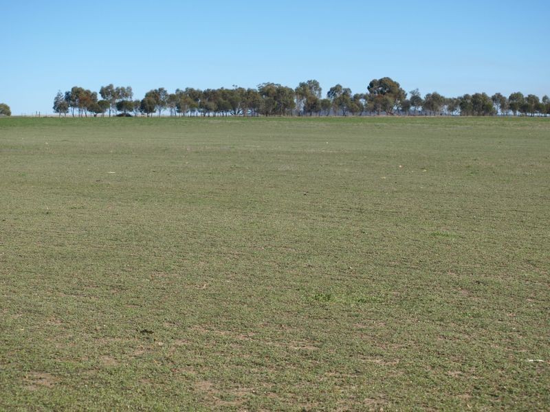 345 Great Eastern Highway, Northam WA 6401