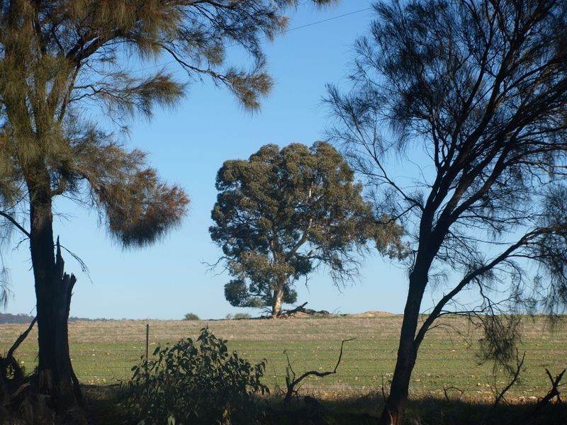 345 Great Eastern Highway, Northam WA 6401