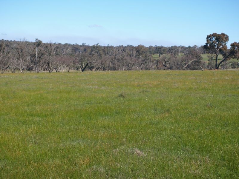 2 Oyston Road, Bakers Hill WA 6562