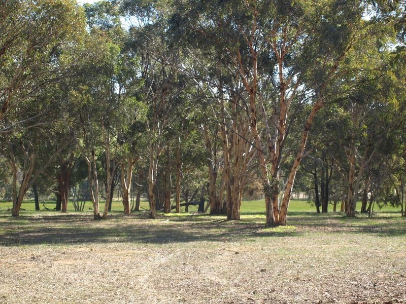 2 Oyston Road, Bakers Hill WA 6562