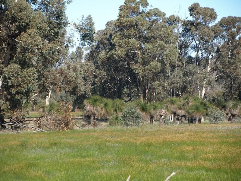 2 Oyston Road, Bakers Hill WA 6562