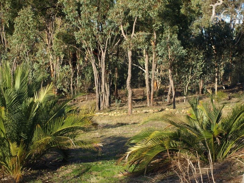 20 Raymond Court, Clackline WA 6564