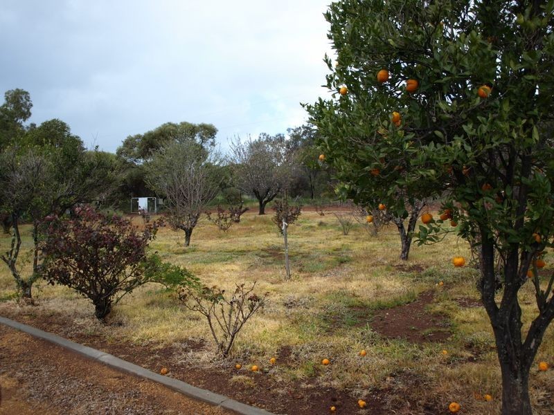 5031 Great Eastern Highway, Bakers Hill WA 6562