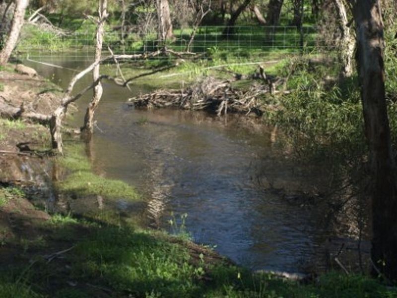 15 Refractory Road, Bakers Hill WA 6562