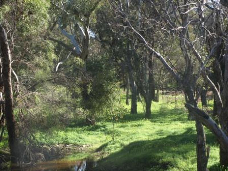 15 Refractory Road, Bakers Hill WA 6562