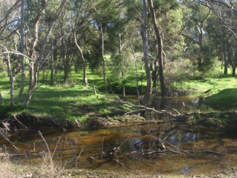 15 Refractory Road, Bakers Hill WA 6562