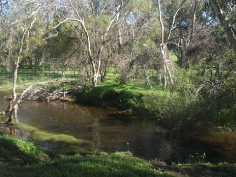 15 Refractory Road, Bakers Hill WA 6562