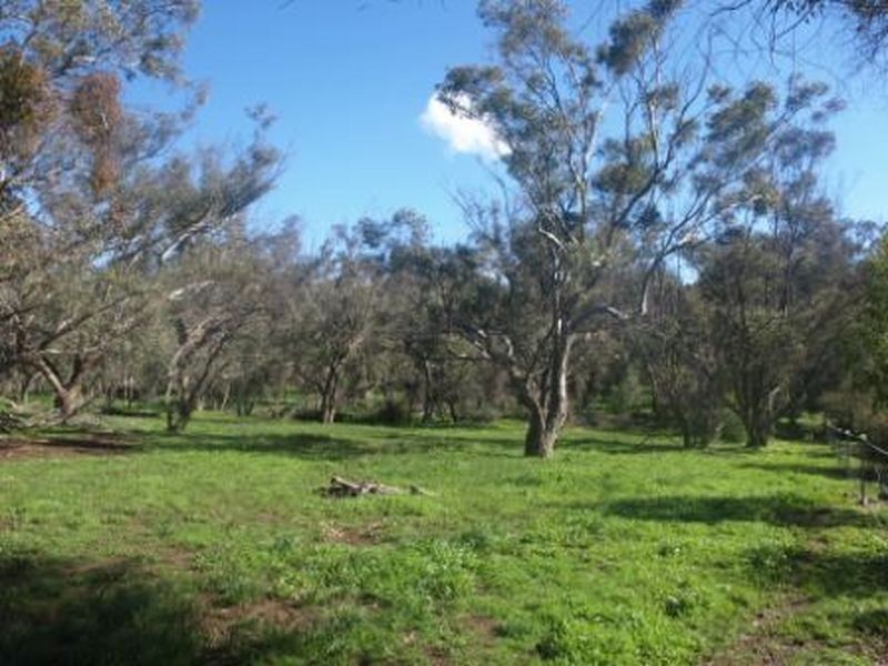 15 Refractory Road, Bakers Hill WA 6562