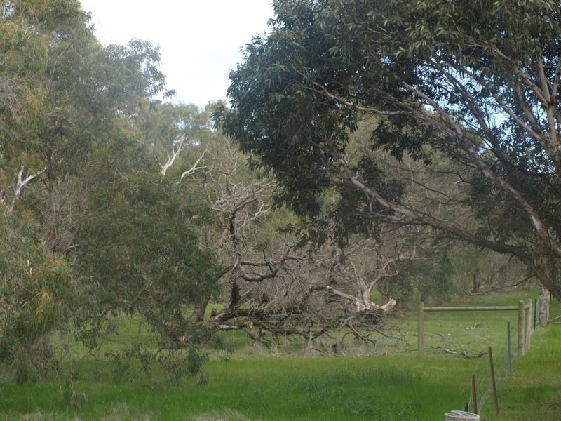 334 Glenmore Drive, Bakers Hill WA 6562