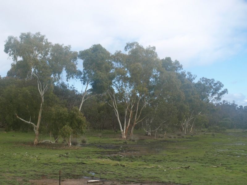 334 Glenmore Drive, Bakers Hill WA 6562