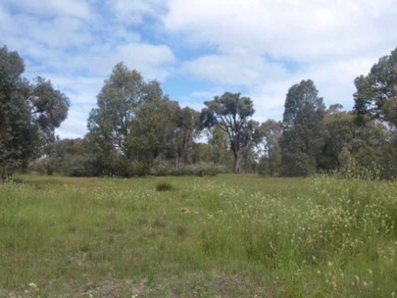 Bakers Hill WA 6562