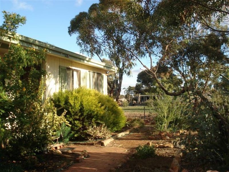 132 Day Street, Kulin WA 6365