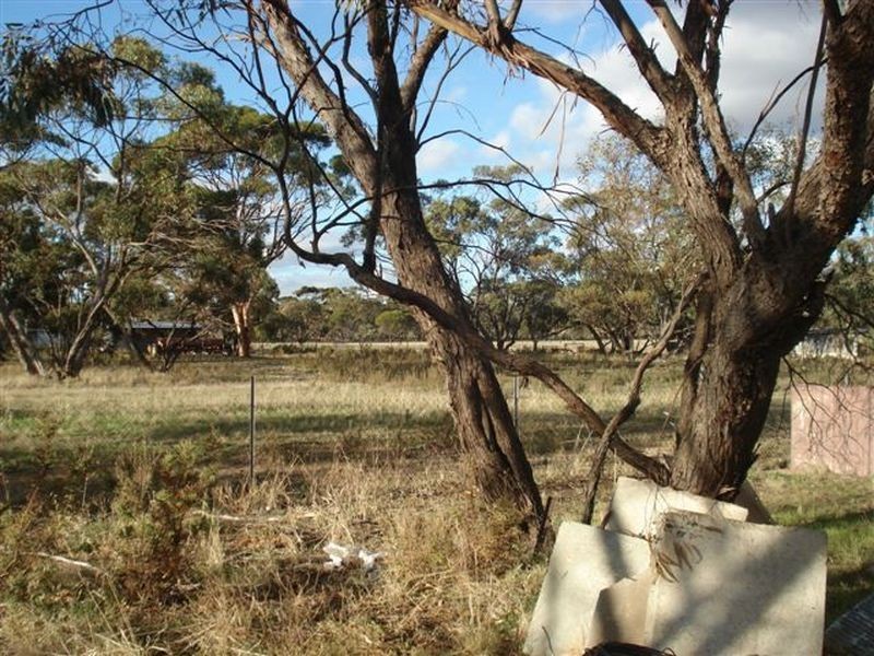 132 Day Street, Kulin WA 6365