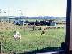 Boolboonda QLD 4671