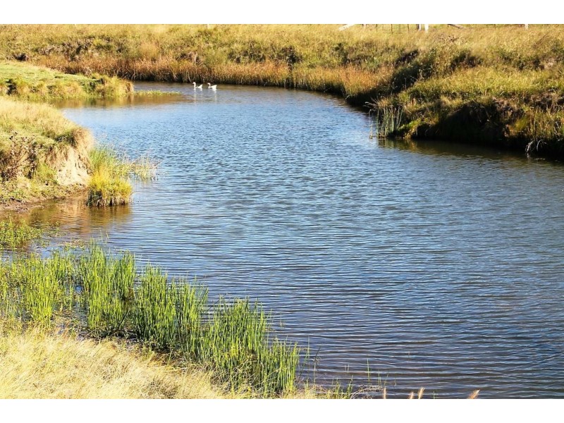 59 Schroders Road, Tenterfield NSW 2372