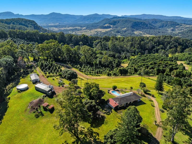 374 Davis Road, Jiggi NSW 2480