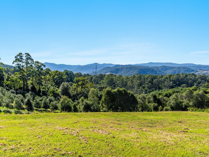 374 Davis Road, Jiggi NSW 2480