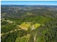 374 Davis Road, Jiggi NSW 2480