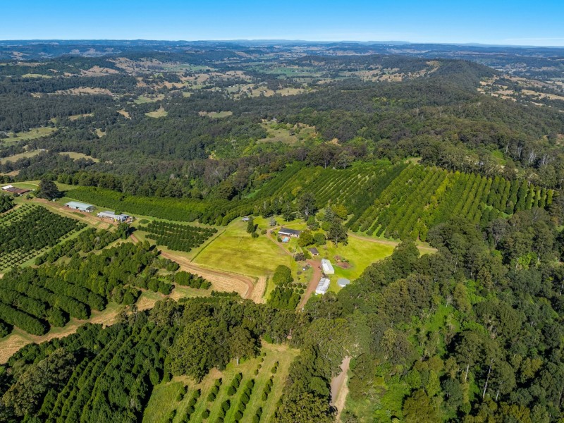 374 Davis Road, Jiggi NSW 2480
