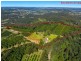 374 Davis Road, Jiggi NSW 2480