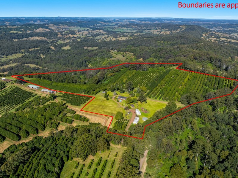 374 Davis Road, Jiggi NSW 2480