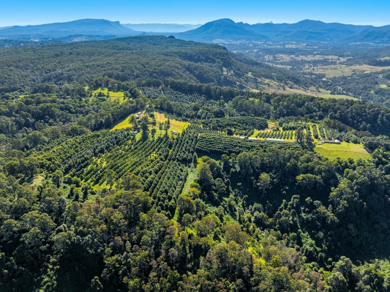 374 Davis Road, Jiggi NSW 2480