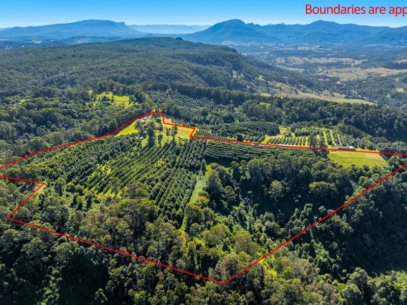 374 Davis Road, Jiggi NSW 2480