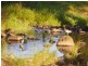 708 Marom Creek Road, Marom Creek NSW 2480
