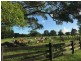 708 Marom Creek Road, Marom Creek NSW 2480