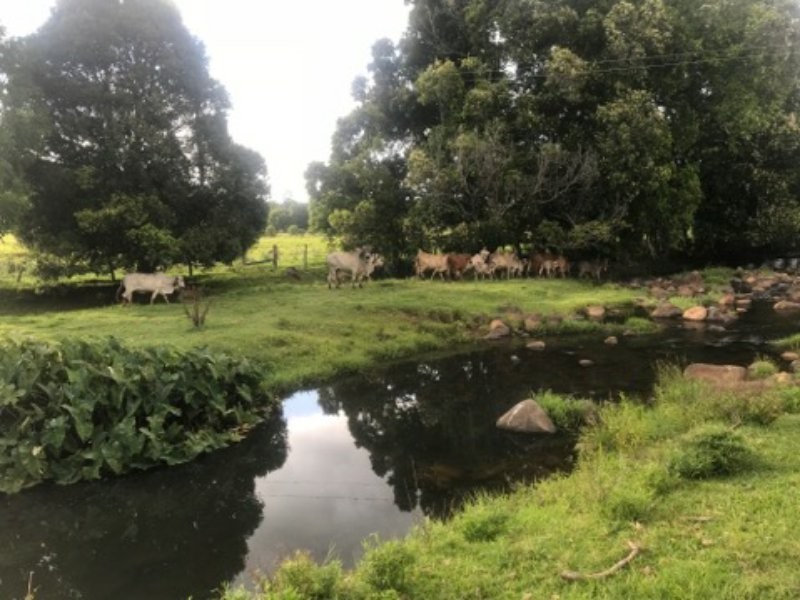 708 Marom Creek Road, Marom Creek NSW 2480