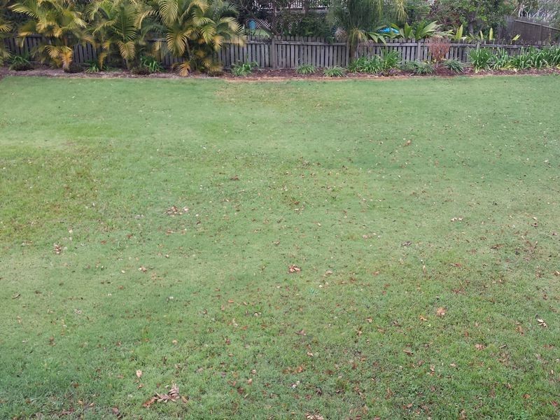 59 Spring Street, East Lismore NSW 2480