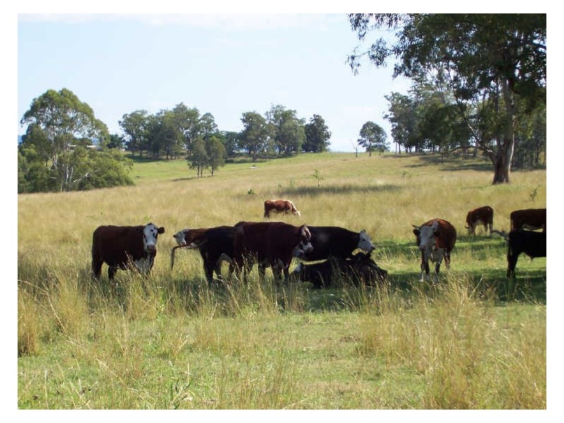 1090 Hogarth Range Road, Casino NSW 2470