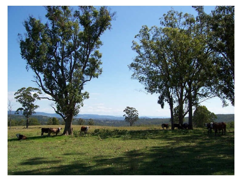 1090 Hogarth Range Road, Casino NSW 2470