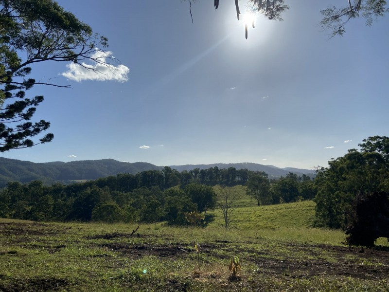 98 Lane Road, Georgica NSW 2480