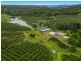 578 Mountain Top Road, Mountain Top NSW 2480