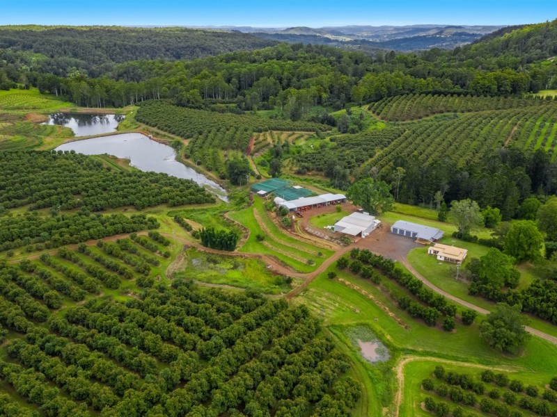 578 Mountain Top Road, Mountain Top NSW 2480