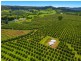 578 Mountain Top Road, Mountain Top NSW 2480