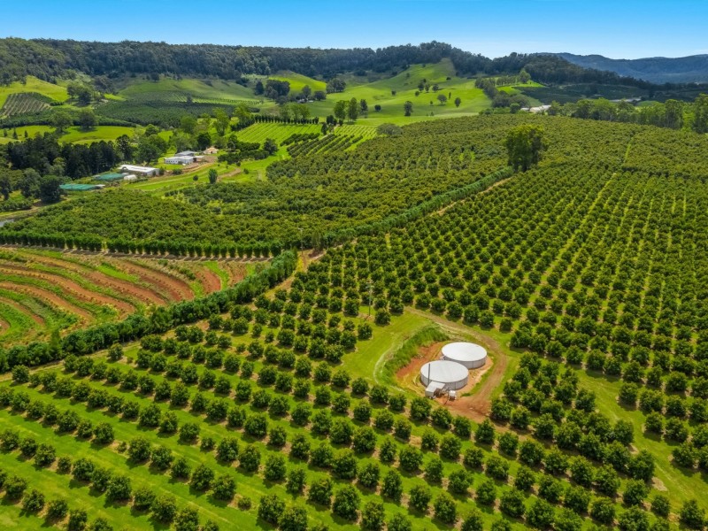 578 Mountain Top Road, Mountain Top NSW 2480