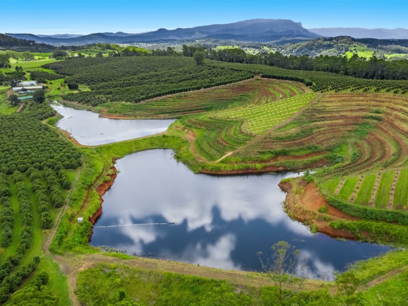 578 Mountain Top Road, Mountain Top NSW 2480