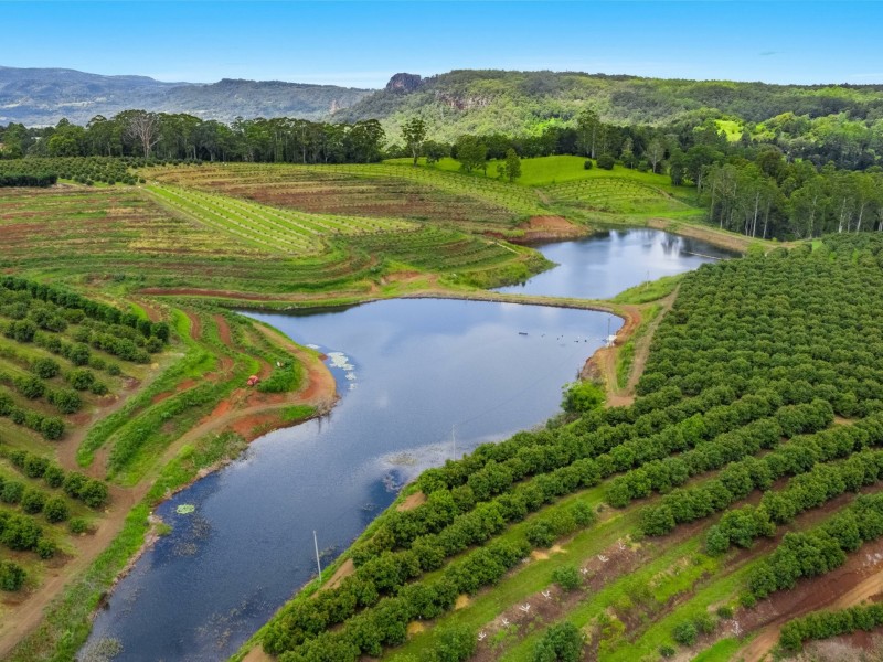 578 Mountain Top Road, Mountain Top NSW 2480