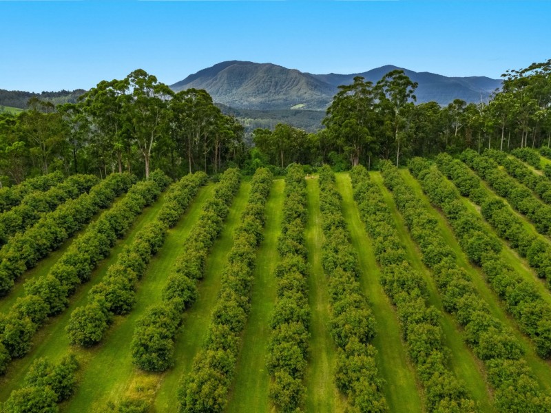 578 Mountain Top Road, Mountain Top NSW 2480