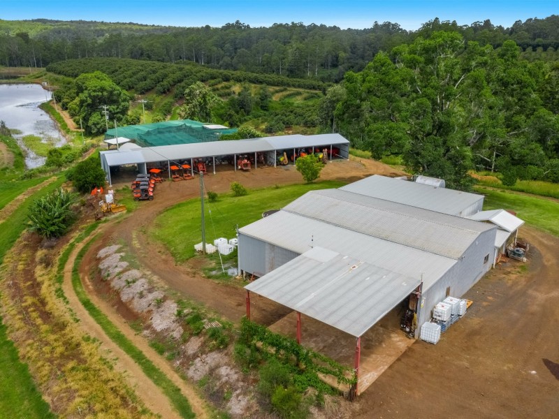 578 Mountain Top Road, Mountain Top NSW 2480