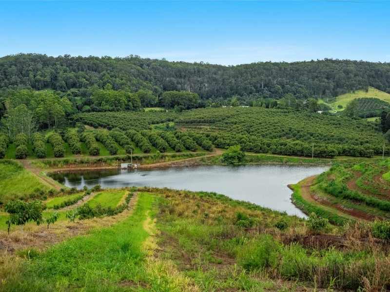 578 Mountain Top Road, Mountain Top NSW 2480