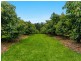 578 Mountain Top Road, Mountain Top NSW 2480